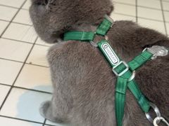 -ID.PHOTO照相馆(嘉里企业中心店)