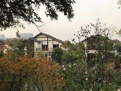 -苏州太湖湖滨国家湿地公园