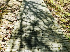 -蜀冈西峰生态公园