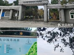 -燕鸣岛