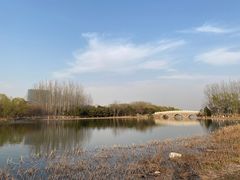 -大兴滨河森林公园