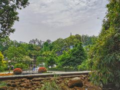 -成飞公园