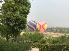 -秀丽东方