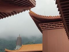 -深圳仙湖植物园