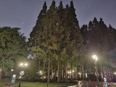 -上海虹桥迎宾馆