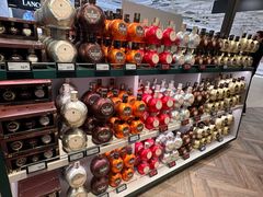 -维也纳国际机场