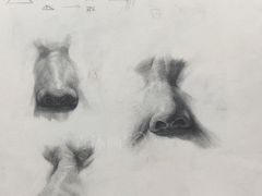 -青沐画室·专业美术培训