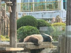 -大连森林动物园