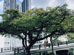 -香港大学