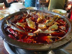 -老船夫石锅苗苗鱼·老字号(三道堰总店)