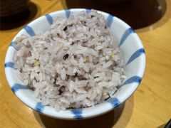 糙米饭-胜博殿日式炸猪排(悠唐店)
