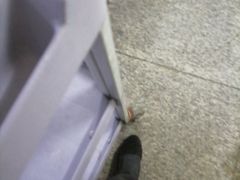 -雅盛品931海鲜酒家