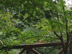 -大伊山景区