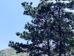 -木兰云雾山