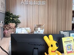 -御宝贝·A梦猫科宠物医院(国际猫友好医院)