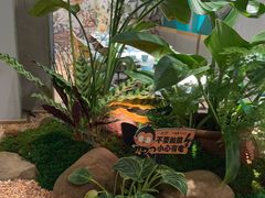 -相遇·川湘融合菜(丹阳吾悦广场店)
