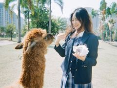 -灵玲国际马戏城