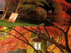 -九曜山