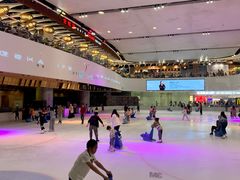 -TheRink大零溜冰场(IFS国金中心店)