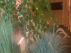 -梅间堂茶馆(绿地缤纷城店)