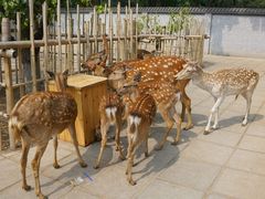 -北京野生动物园