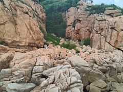 -那琴半岛地质海洋公园