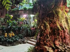 -正佳雨林生态植物园