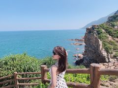 -杨梅坑