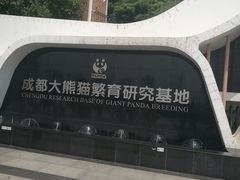 景点-成都大熊猫繁育研究基地