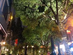 -Shanghai Brew House上海啤酒工坊(老外街店)