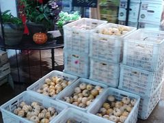 -鲜果壹号(中央景城店)