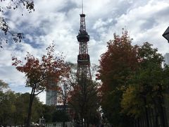 -大通公园