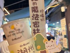 -猫的魔法密林(衣裳街店)