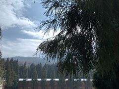 -武陵山森林公园