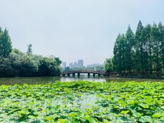 -黄兴公园