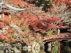 -醍醐寺