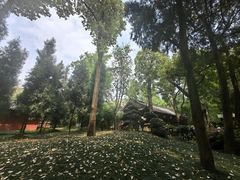 -成都武侯祠博物馆