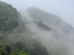 -少华山国家森林公园