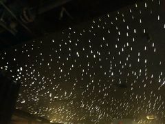 -STARRY CAFE & LOUNGE BAR(高新店)