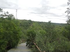 -大青沟风景区