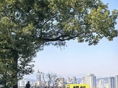 -金鸡山公园