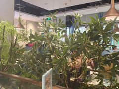 -花椒俏川菜小馆(南海万达店)