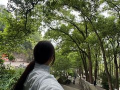 -忠山公园