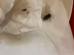 蓝莓炼乳刨-梁子刨冰王&梁小糖(王顶堤店)
