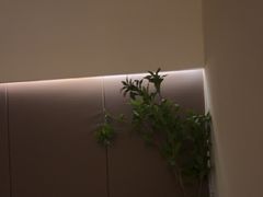 -小仙女采耳·按摩·SPA(深圳旗舰店)