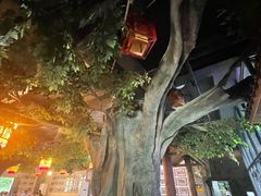 -茅台镇网红溶洞餐厅·茅帮菜馆