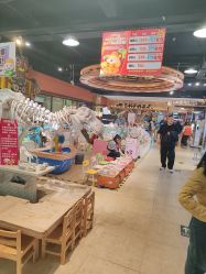 -卡通尼·Safari非洲探索乐园·生日会(金桥国际商业广场店)