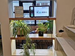 -Willing·Coffee&Brunch&Dinner(万达店)