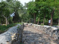 -阳台山自然风景区