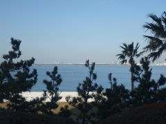 DSC04372-东京湾希尔顿酒店